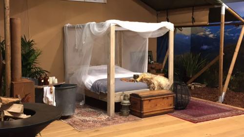 GlamXperience