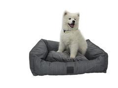 Doggy Beds: Preston