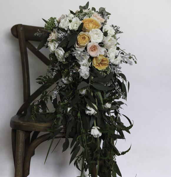 Botanic and Bloom