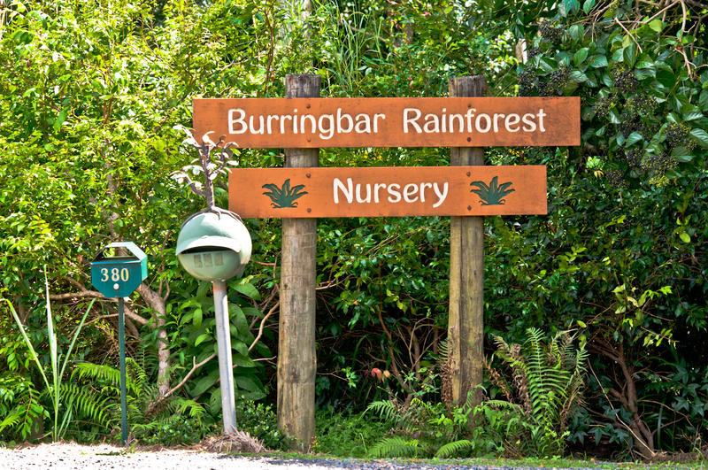 Burringbar Rainforest Nursery