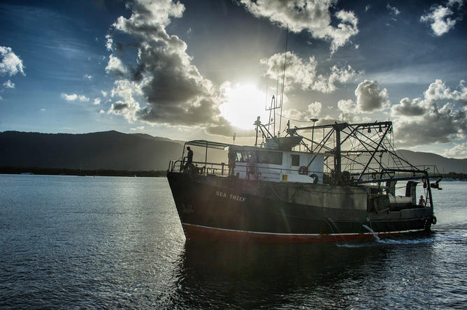Austral Fisheries