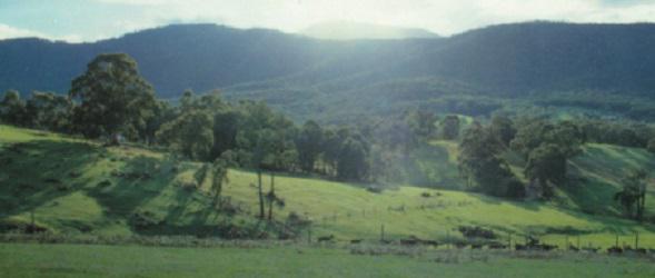 Yarra Valley Game Meats