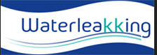 Water Leak King logo