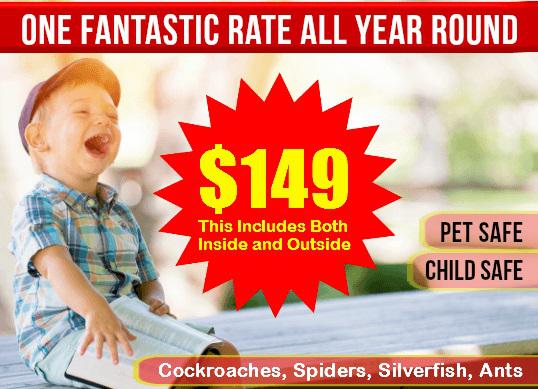 Pest Control Brisbane Gold Coast