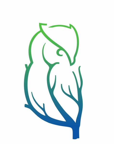 Wise Choice Loans
