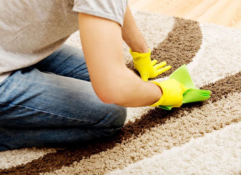 Driven Cleaning Services