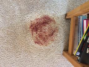 Carpet Cleaning Kings: Brisbane
