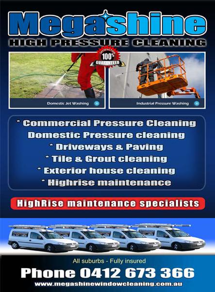 Megashine Professional Window and Carpet Cleaning