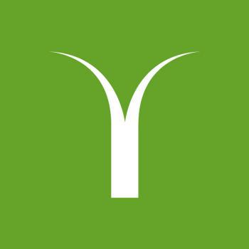 Syntech Landscape Solutions logo