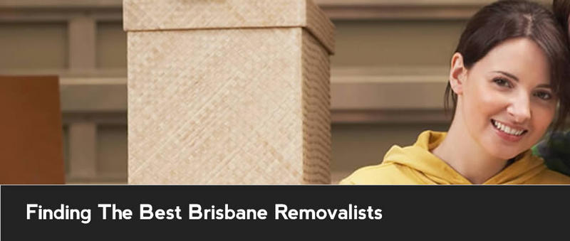 Shine Removals