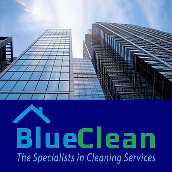 Blueclean Services