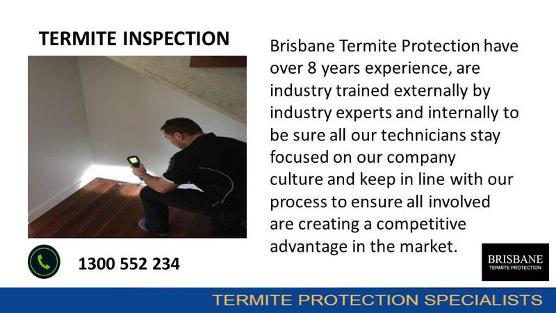 Brisbane Termite Protection