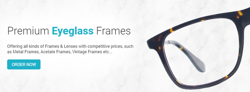 Frames & Lenses