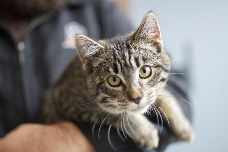 Woodend Veterinary Centre