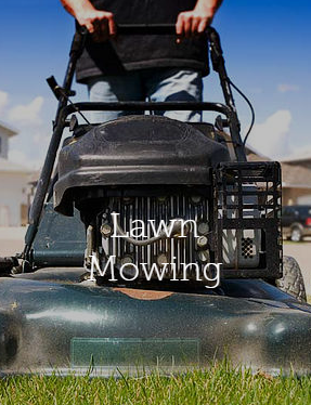 Fergo's Lawn Care