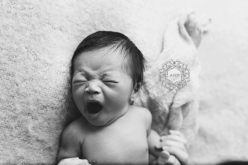Adelaide Newborn Photography