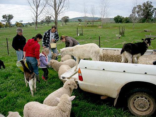 Hanericka Farmstay