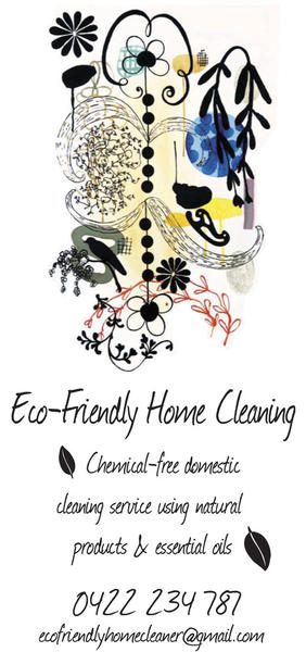 Eco Friendly Home Cleaner