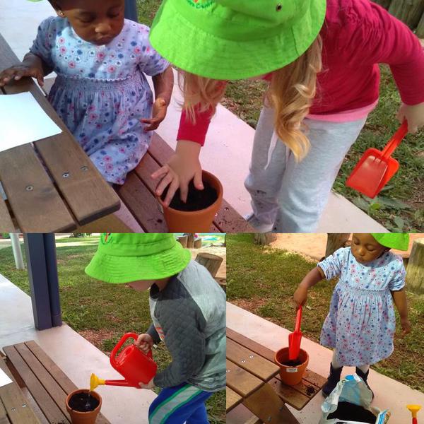 Little Graces Childcare Centre