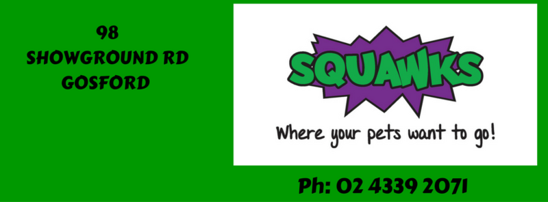 Squawks Pet Store