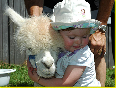 Kidz Zoo - The Zoo That Comes To You