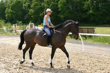 Beltain Park Riding Centre