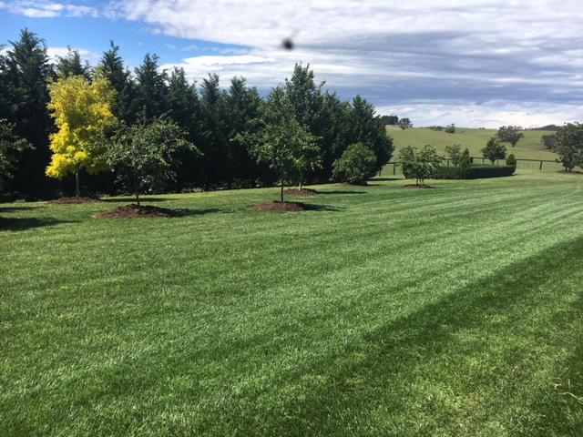 CPM Contracting