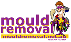 Mould Removal