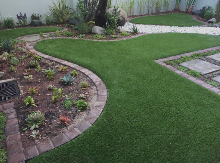 Calvo Turf Pty Ltd: Mount Lawley