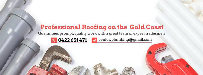 Professional Plumbing & Roofing Gold Coast