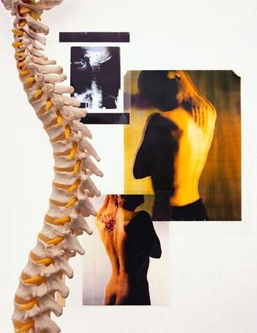 Synergy Physio