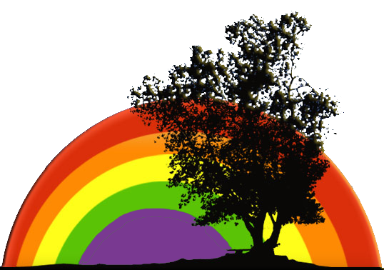 Rainbow Driving School logo