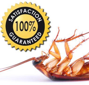 Parra Pest Control