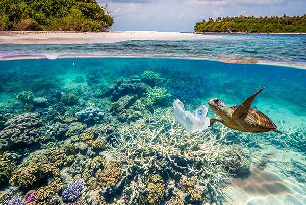 No Plastic Bags