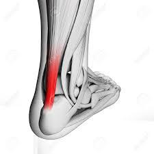 Balcatta Podiatry