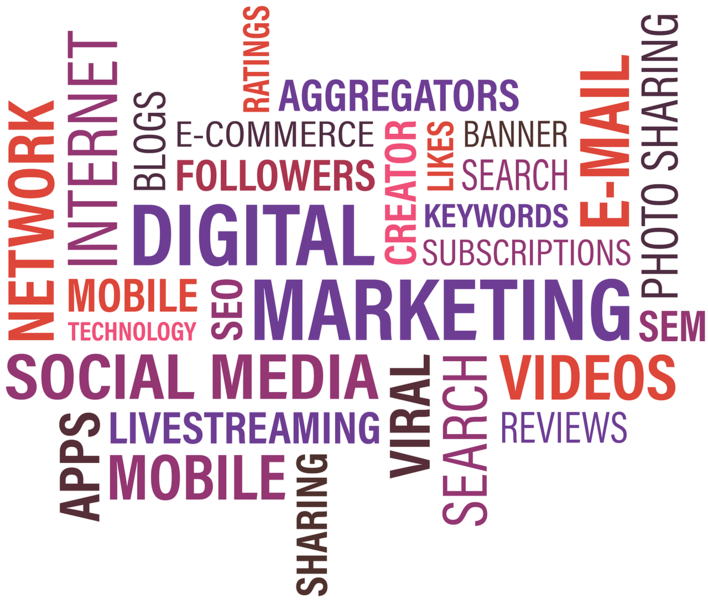 Web Marketing Guru