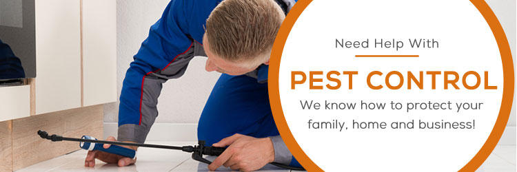 My Home Pest Control