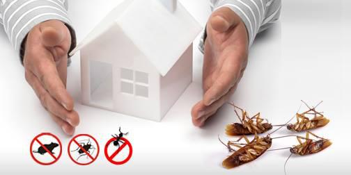 Green Pest Shield