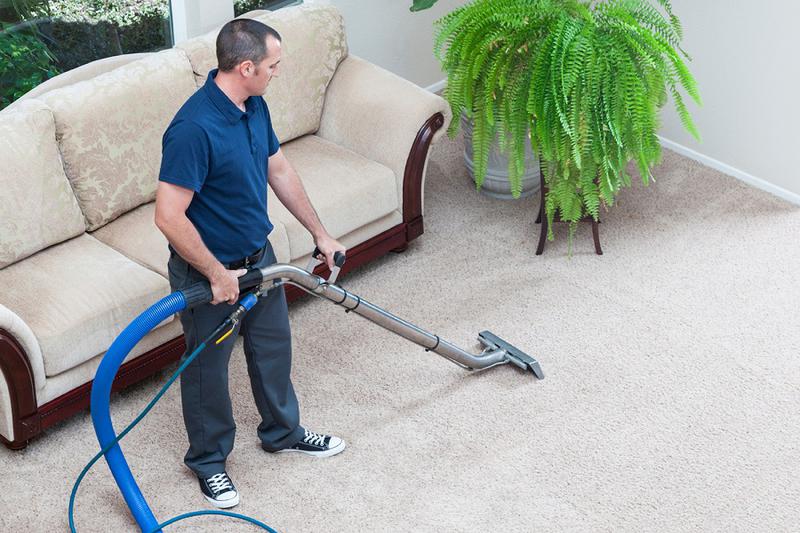 End of Lease Cleaning: Bassendean logo