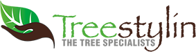 Treestylin