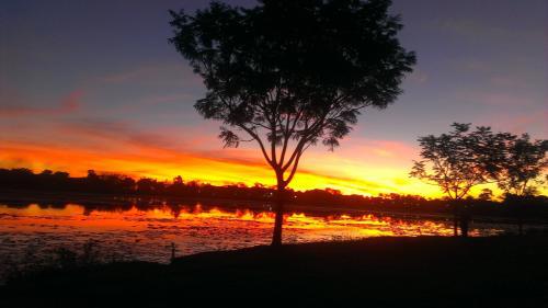 Oz Tours Safaris