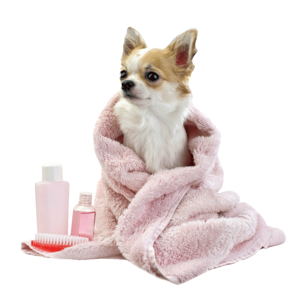 K9 Sparkling Dog Wash