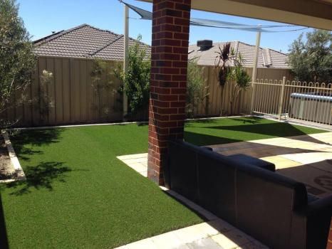 Choice Turf
