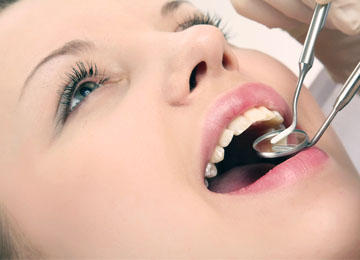 Dentist for Chickens: Swansea