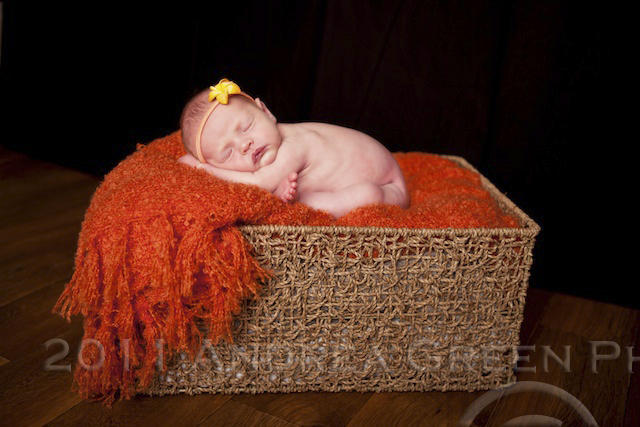 Andrea Green Photography