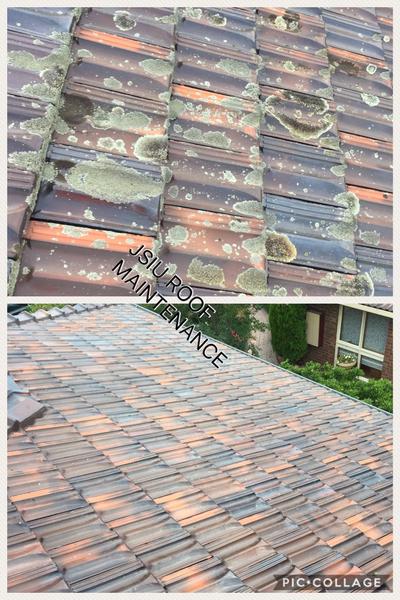 JSIU Insulation & Roof Maintenance