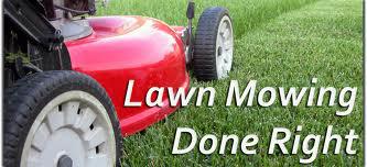 Suncoast Yard Maintenance