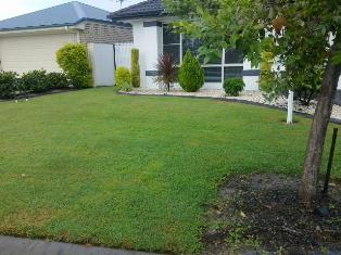 Tony's Island Lawn Mowing and Garden Care