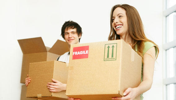 Phoenix Removals