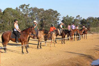 Holistic Equitation: Yarck